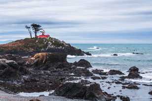 Lighthouse at Crescent City-0963.jpg Lighthouse at Crescent City-0963.jpg